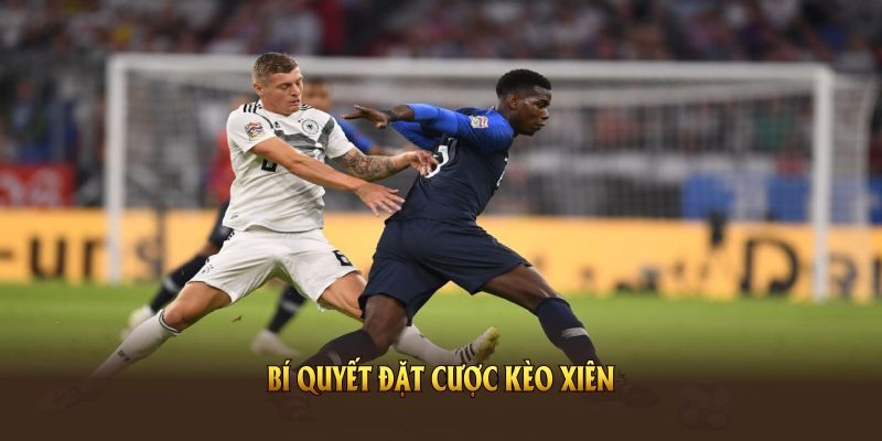 Cách đọc kèo xiên chuẩn từ hỗ trợ người chơi hiệu quả