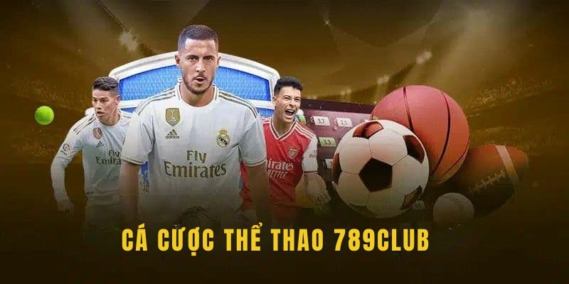Sảnh thể thao sôi động