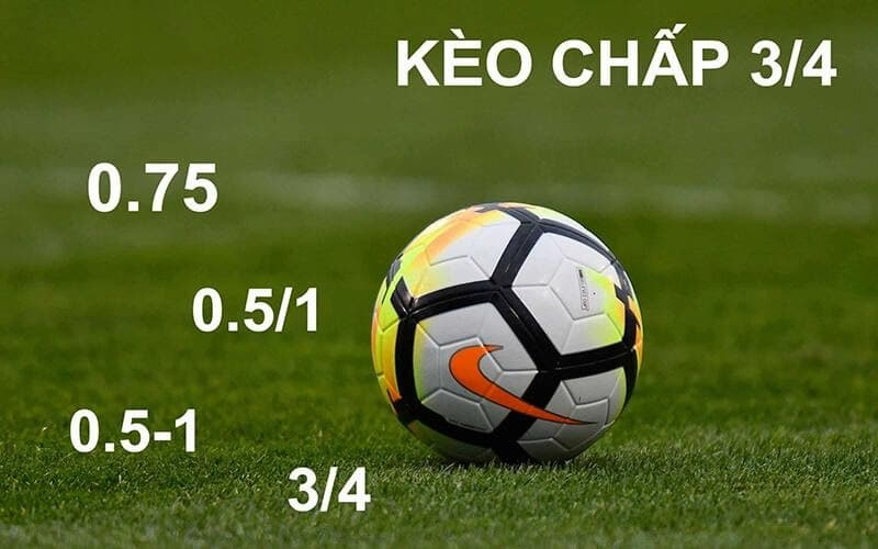 Giới thiệu về 8xbet – Nhà cái cá cược hàng đầu